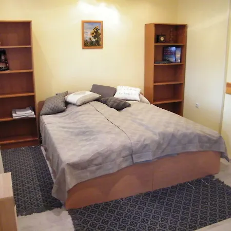 Pal Utcai Apartman מישקולץ מראה חיצוני תמונה
